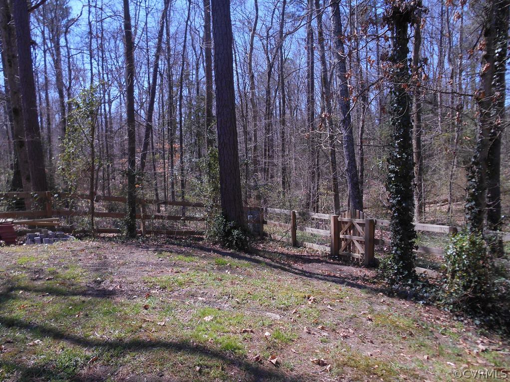 4904 Court Ridge Terrace Midlothian, VA 23112 - Photo 7 of 20 a view of a backyard with trees