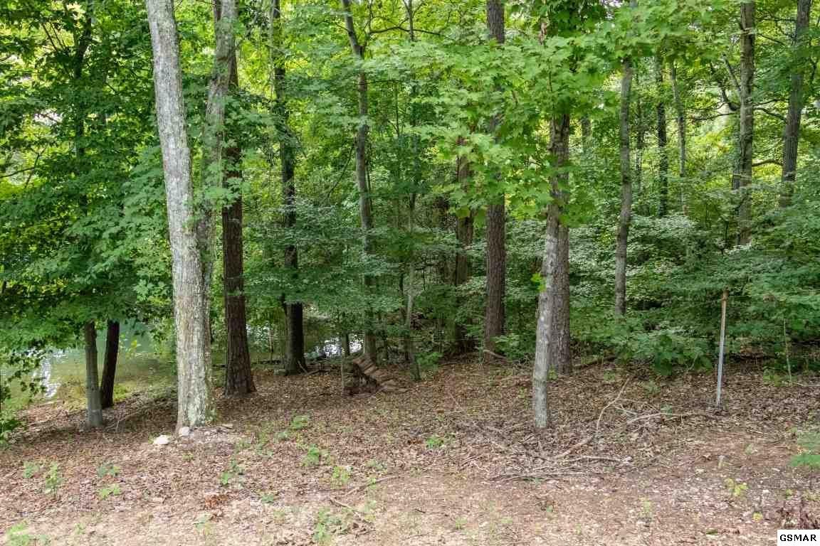 58 Mallard Bay Phase 2 Rutledge, TN 37861 - Photo 3 of 5 Gallery Image 3