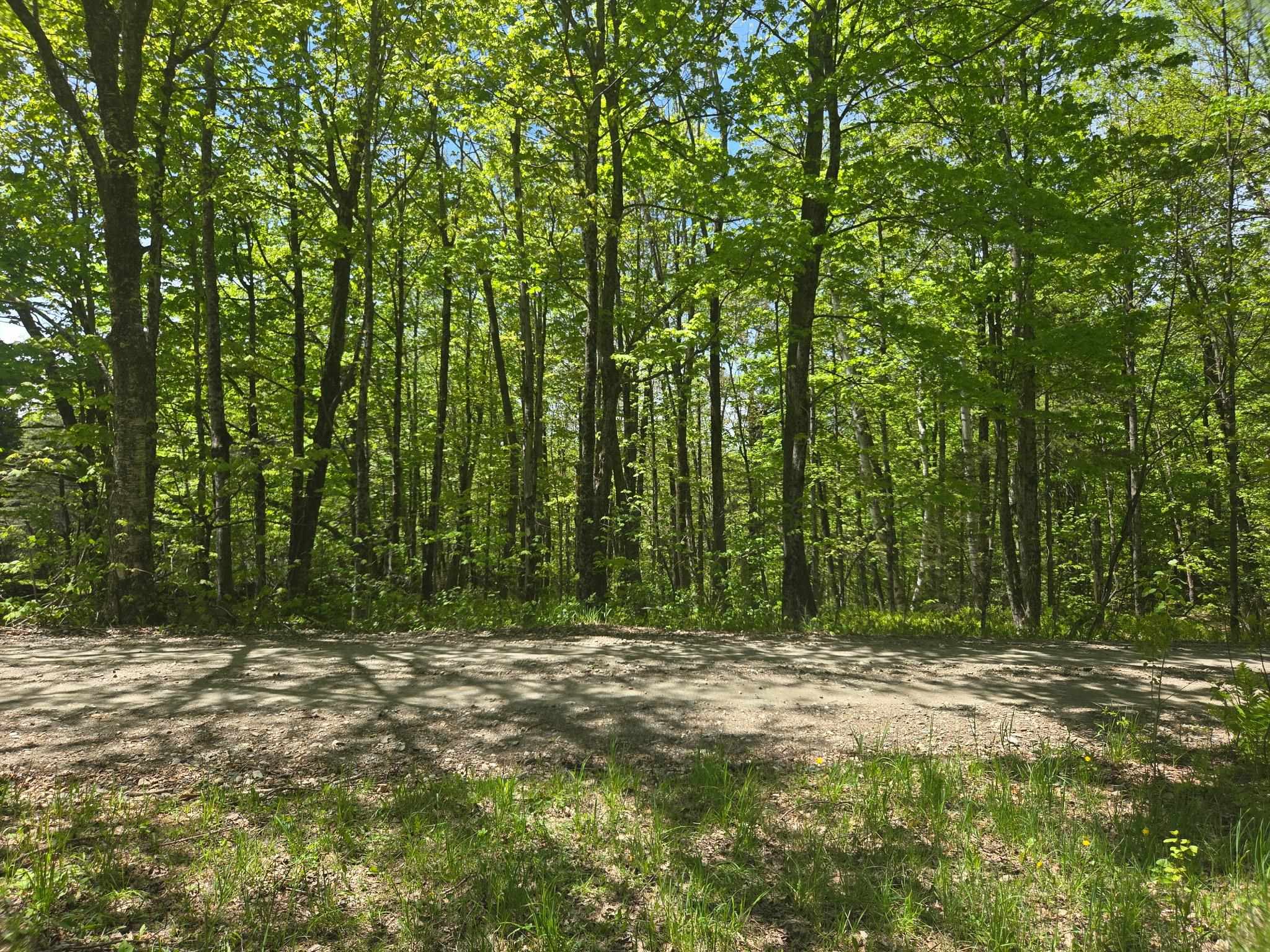 1440 Stevens Road Bridgewater, VT 05035 - Photo 22 of 22