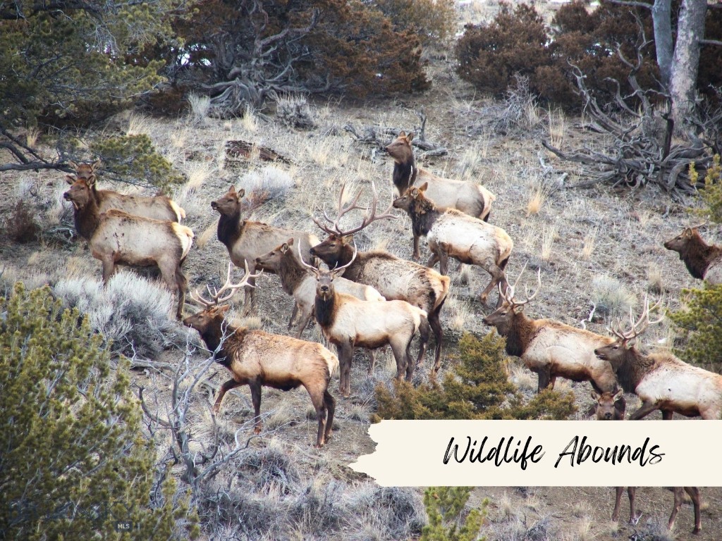 3000 Nixon Gulch Road Manhattan, MT 59741 - Photo 31 of 32 Gallery Image 31