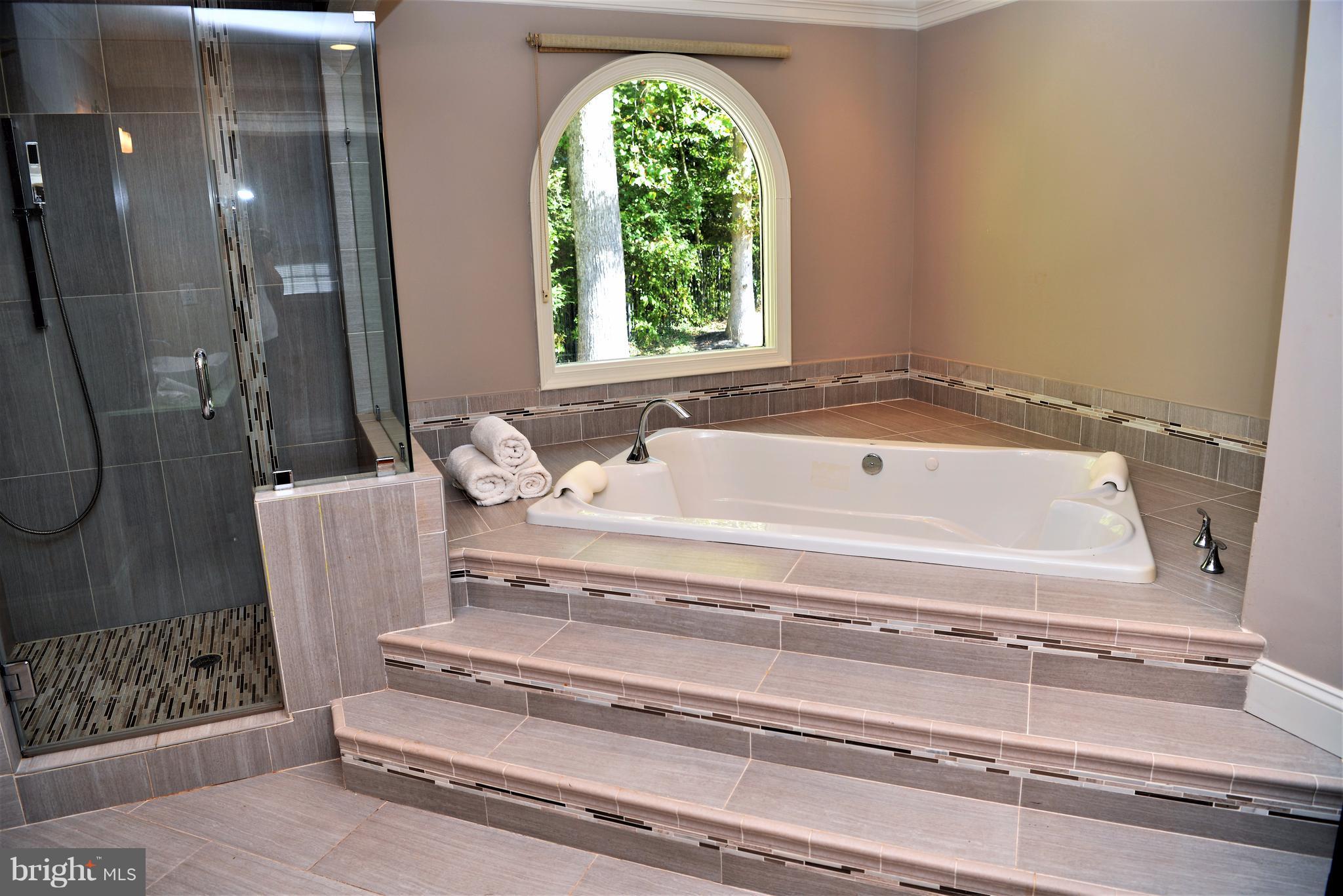 827 Swinks Mill Road McLean, VA 22102 - Photo 15 of 30 Bath (Master)