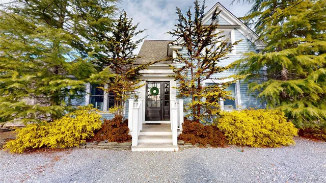 a view of a pathway with plants