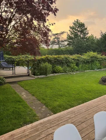 a view of a park with large trees