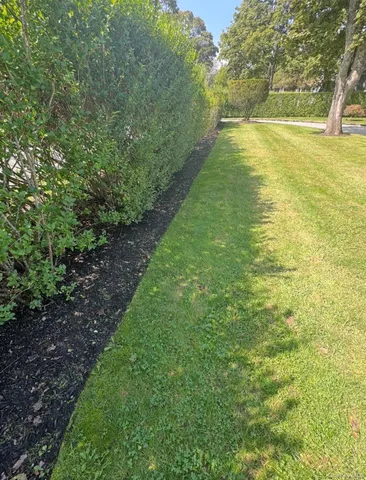 a view of yard with swimming pool and green space