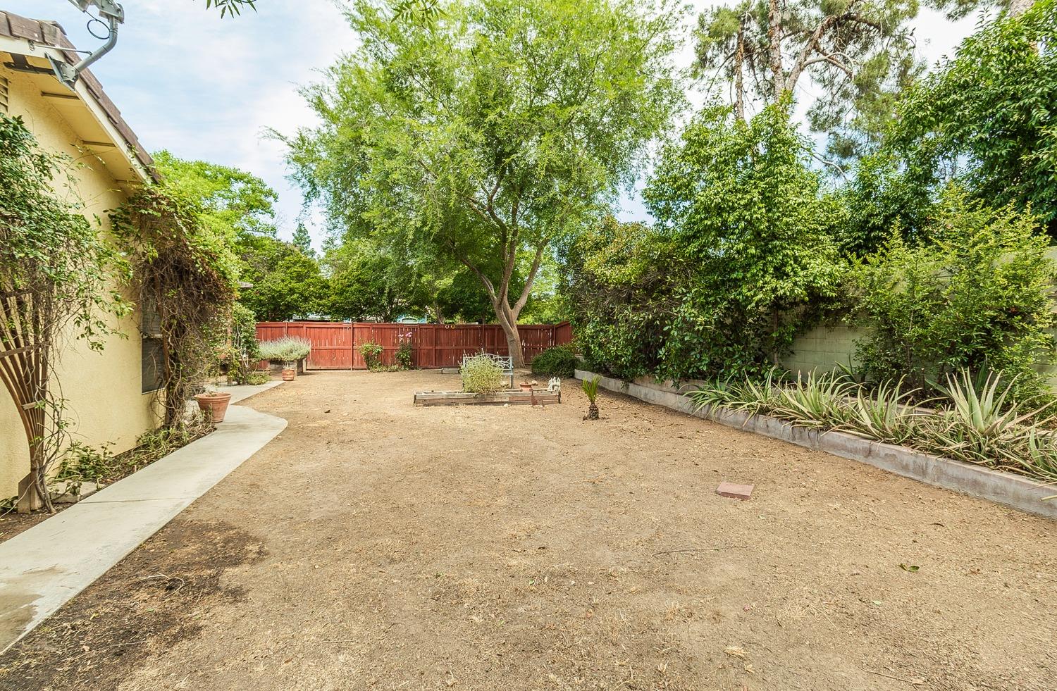 2831 Purvis Avenue Clovis, CA 93611 - Photo 23 of 26 a view of a yard with plants and trees