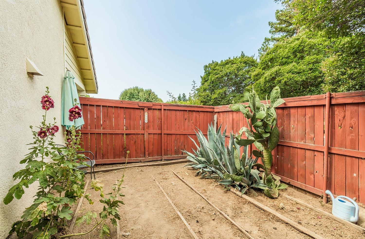 2831 Purvis Avenue Clovis, CA 93611 - Photo 26 of 26 a view of a backyard with plants