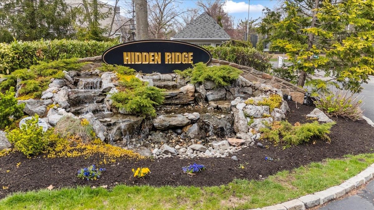 a view of a tree with a yard