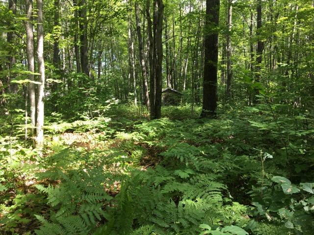 Tabitha Trail Mio, MI 48647 - Photo 20 of 22 Gallery Image 20