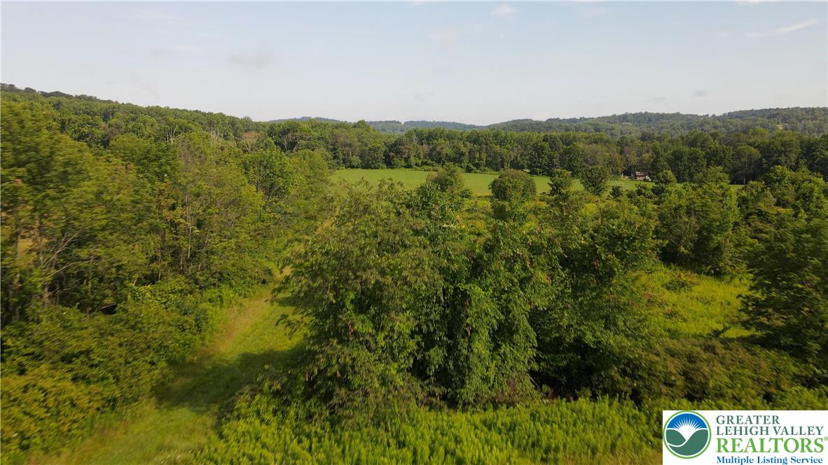 340 Wassergass Road Hellertown, PA 18055 - Photo 3 of 5 a view of a green field with lots of trees