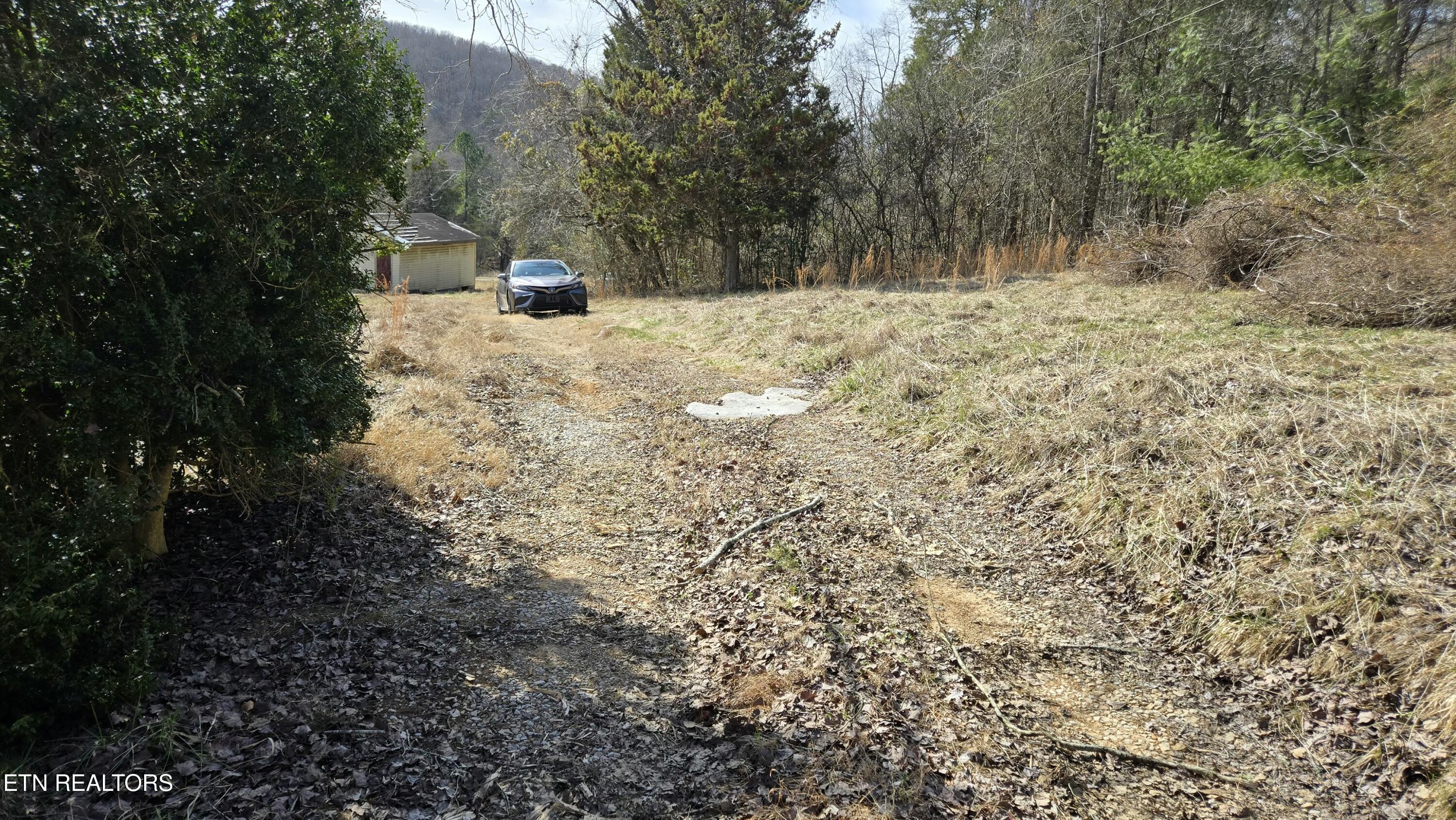454 Braden Chapel Road Speedwell, TN 37870 - Photo 13 of 16 tempImagevqRj6e