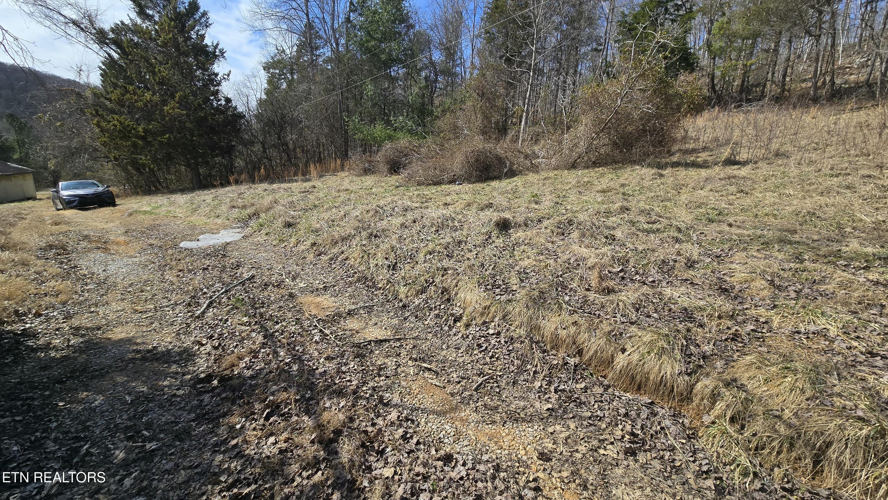454 Braden Chapel Road Speedwell, TN 37870 - Photo 14 of 16 tempImagee1UeGx