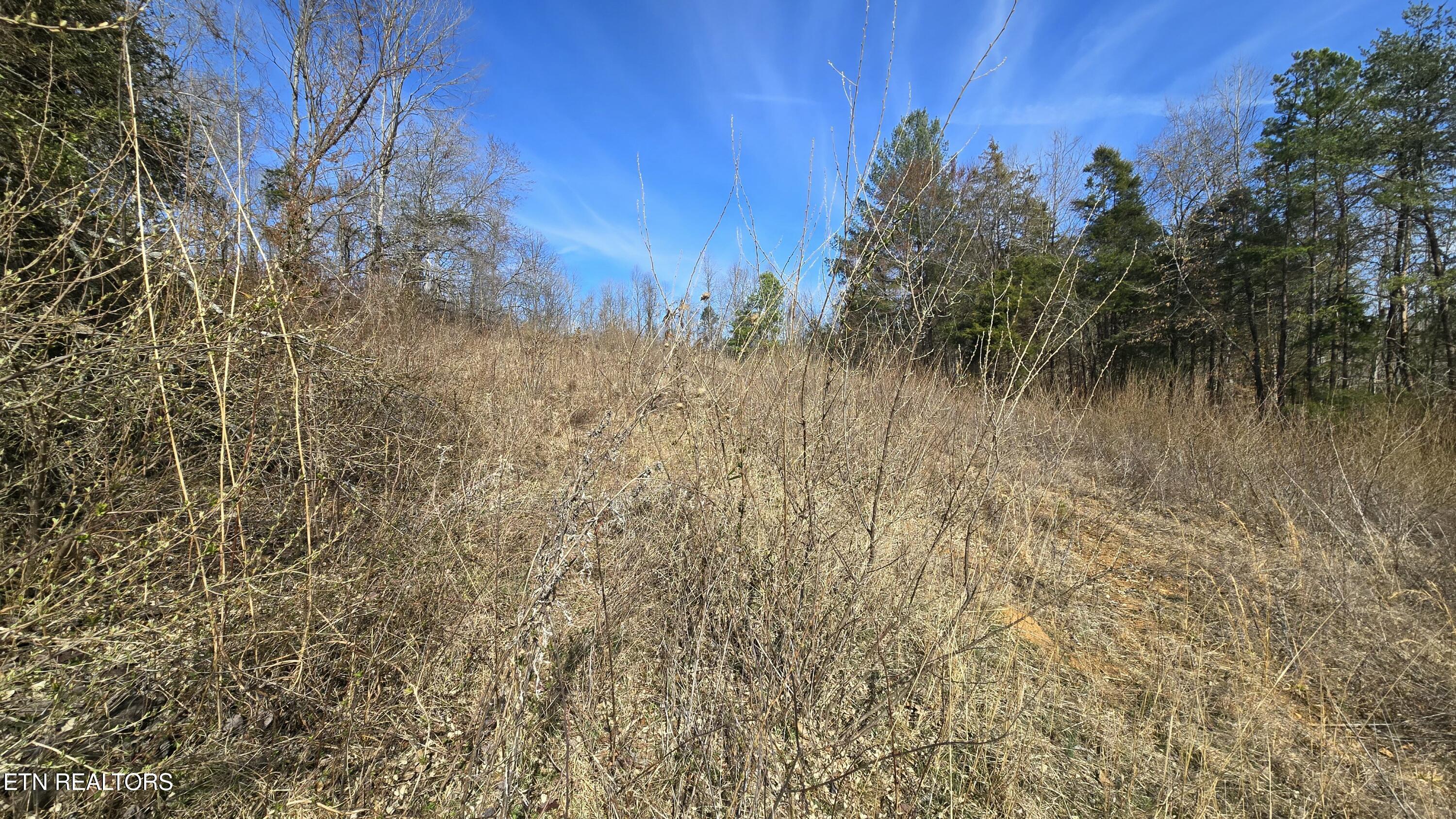 454 Braden Chapel Road Speedwell, TN 37870 - Photo 16 of 16 tempImage9x8NjB