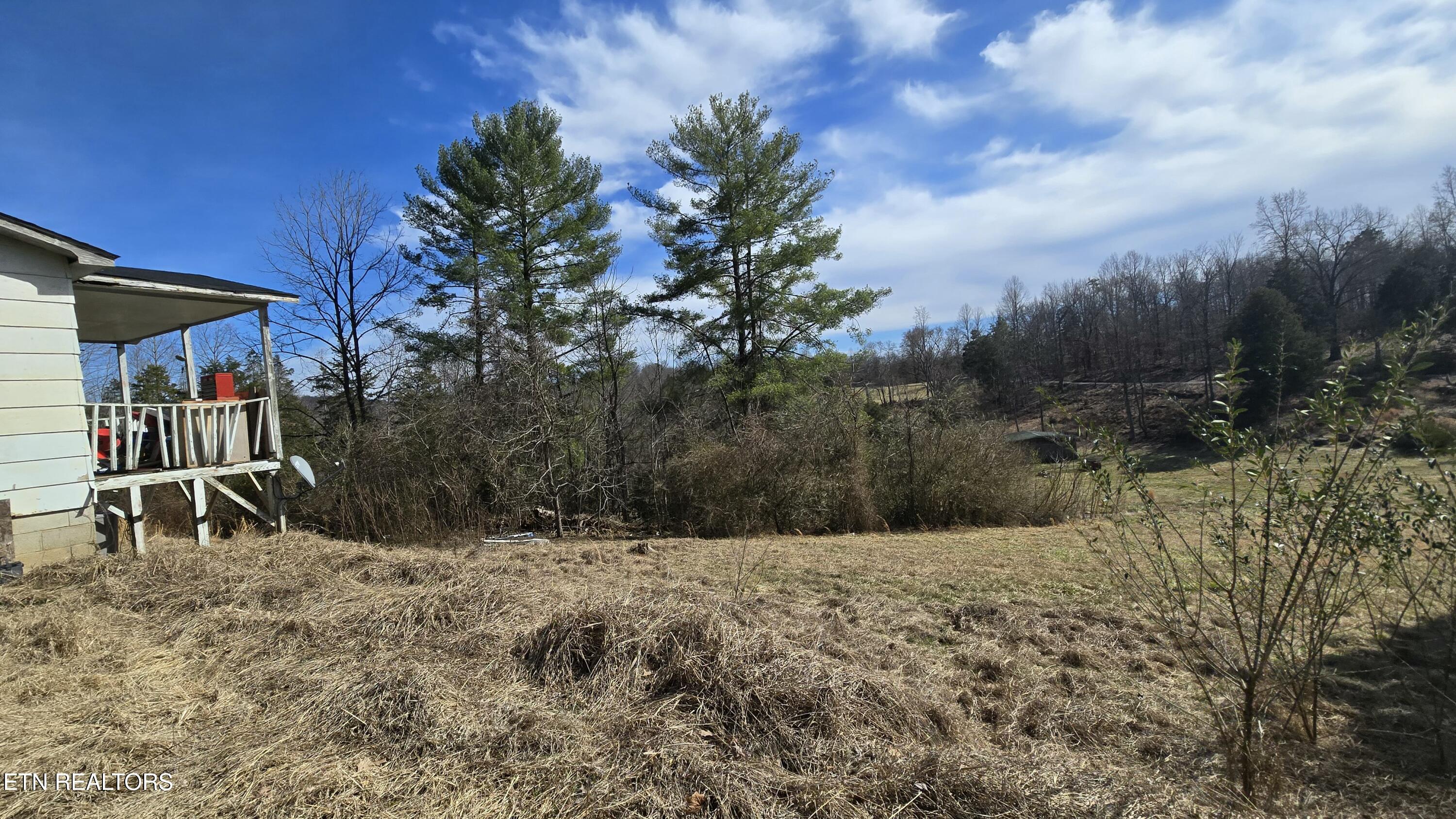454 Braden Chapel Road Speedwell, TN 37870 - Photo 5 of 16 tempImagesAp83V