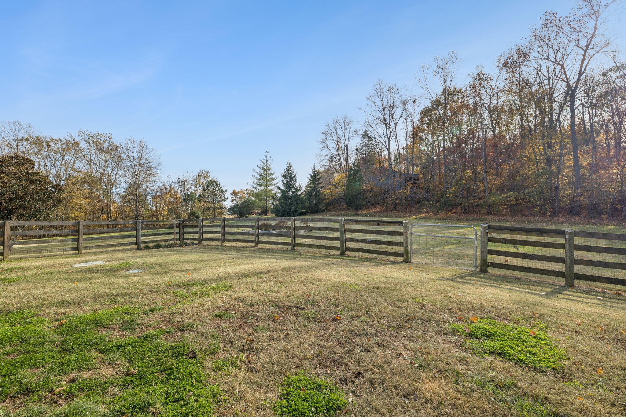 4965 Smithson Road College Grove, TN 37046 - Photo 59 of 71 Gallery Image 59
