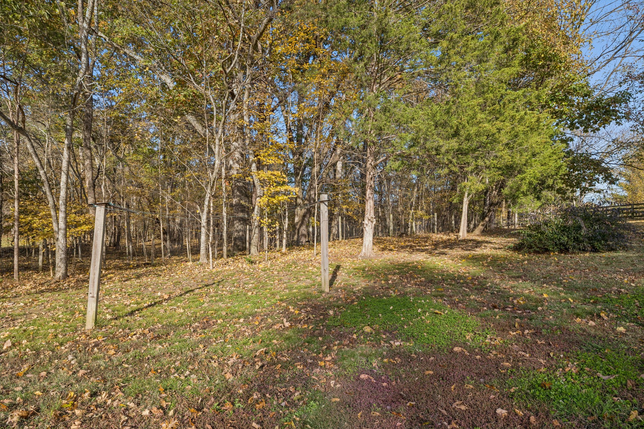 4965 Smithson Road College Grove, TN 37046 - Photo 61 of 71 Gallery Image 61