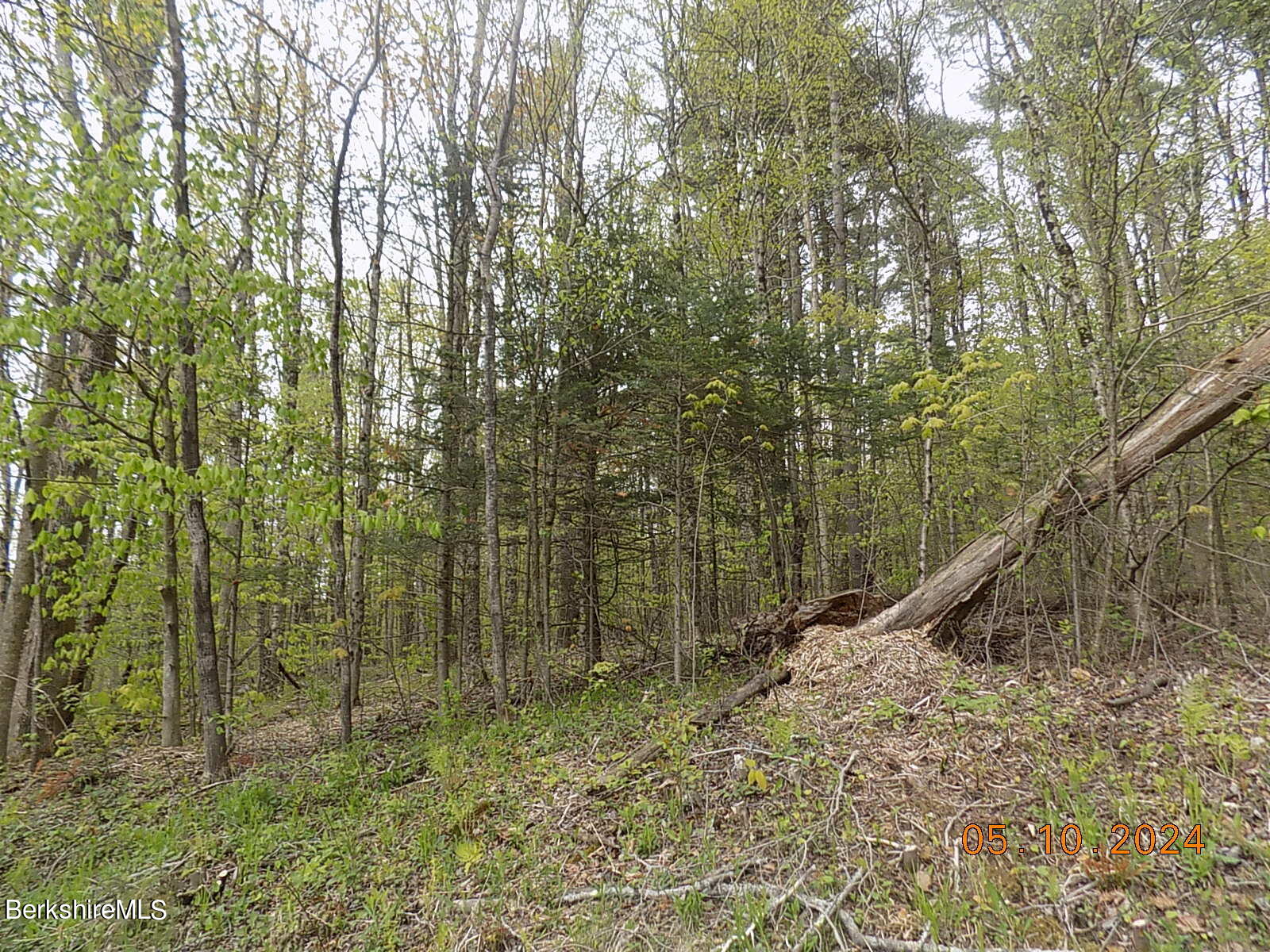 East Washington Road Hinsdale, MA 01235 - Photo 1 of 6 1