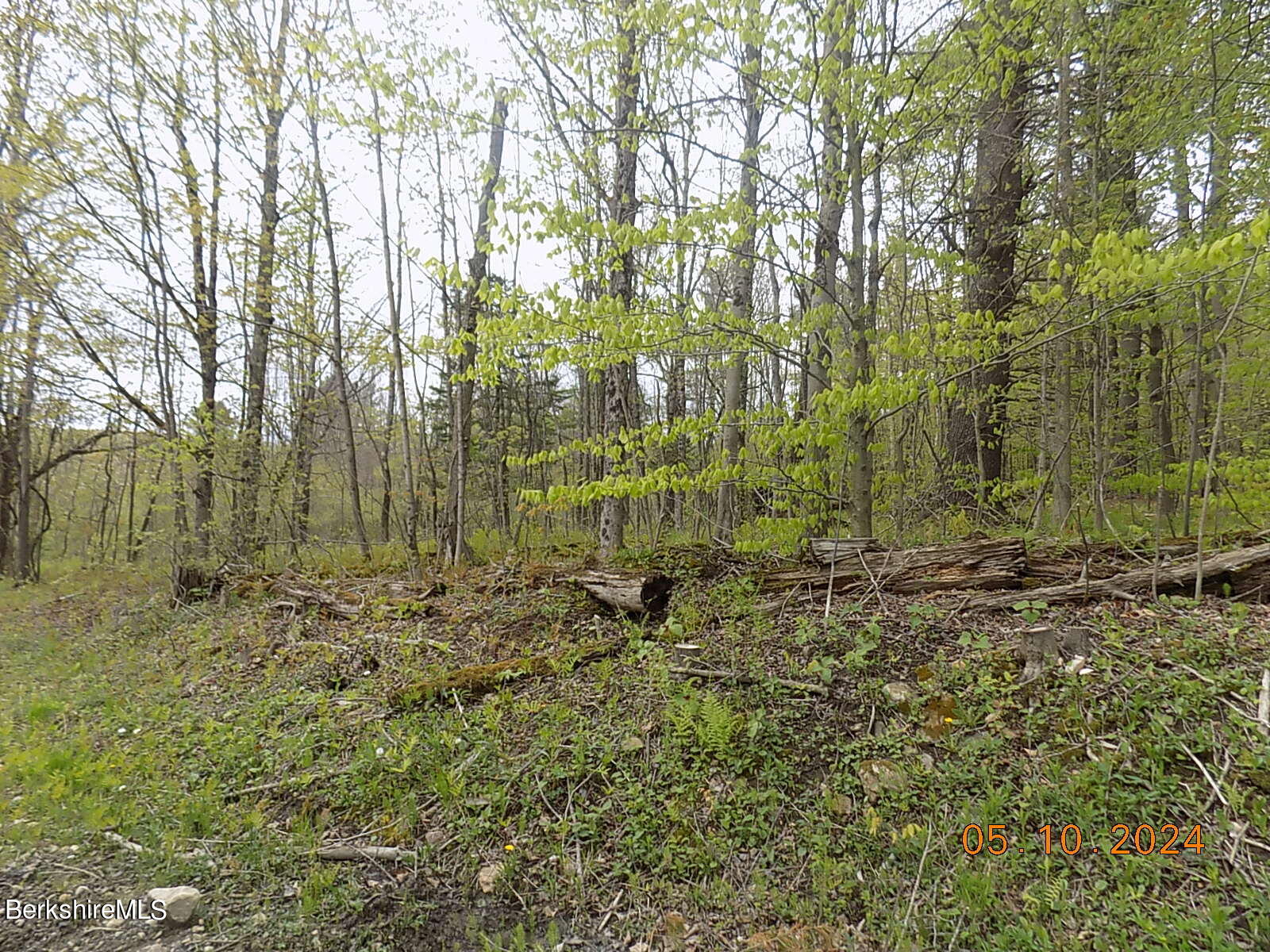 East Washington Road Hinsdale, MA 01235 - Photo 3 of 6 3