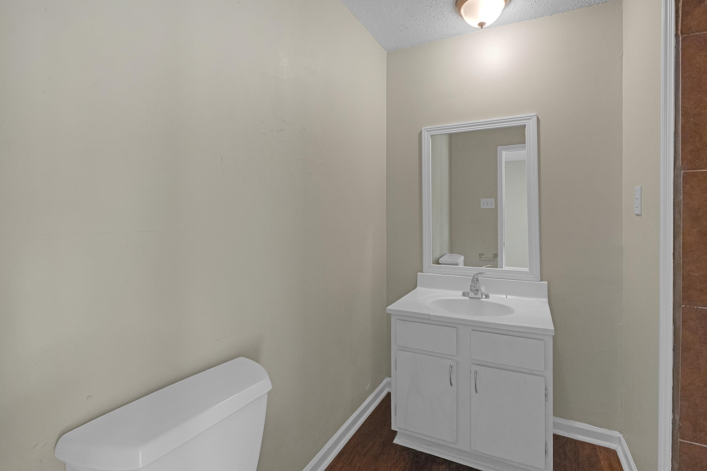 6128 Raintree Drive Memphis, TN 38115 - Photo 21 of 30 Bathroom featuring vanity, a textured ceiling, and dark wood-style flooring