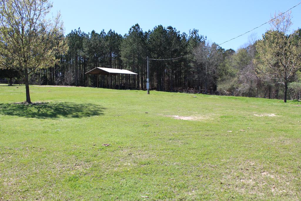 793 Benton Store Road Columbia, AL 36319 - Photo 1 of 1