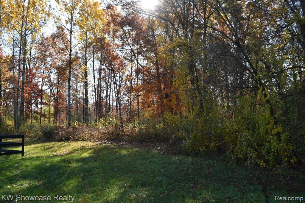 Vacant Bogie Lake Road White Lake, MI 48383 - Photo 6 of 10 Gallery Image 6