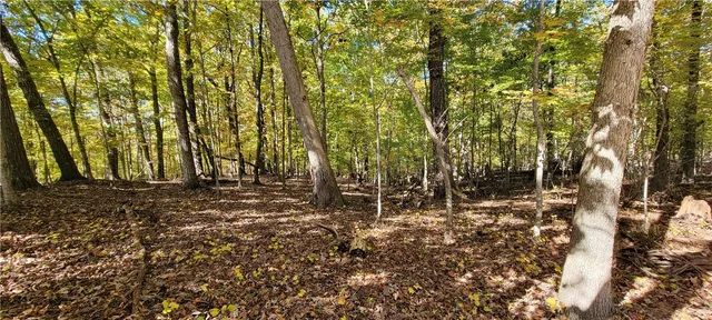 $12,000 | 0 South Arrowhead Drive, Westminster, SC 29693