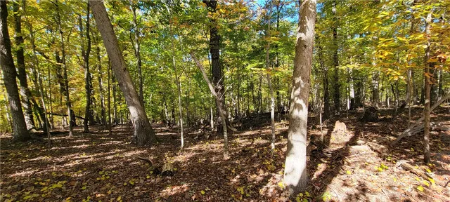 $12,000 | 0 South Arrowhead Drive, Westminster, SC 29693