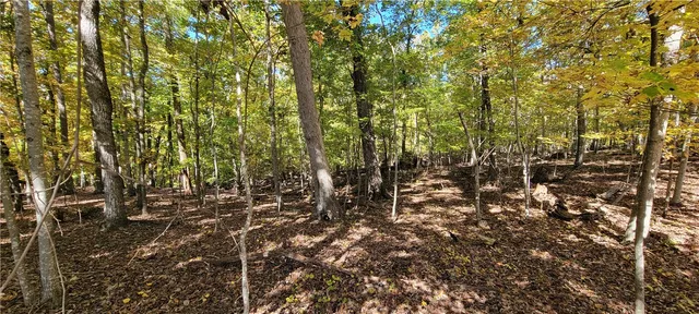 $12,000 | 0 South Arrowhead Drive, Westminster, SC 29693