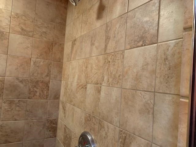 12002 Jackson River Road Monterey, VA 24465 - Photo 31 of 65 a bathroom with a shower
