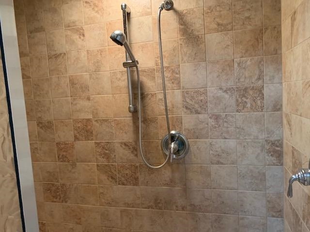 12002 Jackson River Road Monterey, VA 24465 - Photo 36 of 38 a bathroom with a shower