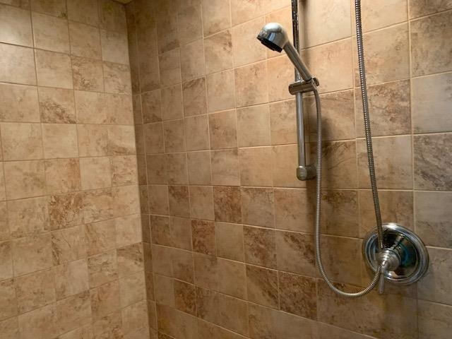 12002 Jackson River Road Monterey, VA 24465 - Photo 37 of 38 a bathroom with a shower