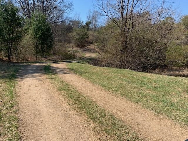 12002 Jackson River Road Monterey, VA 24465 - Photo 54 of 65 a view of a yard with an trees