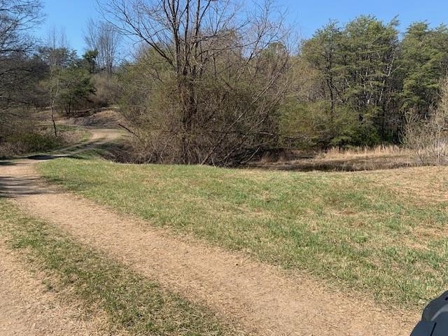 12002 Jackson River Road Monterey, VA 24465 - Photo 55 of 65 a view of a yard with a tree