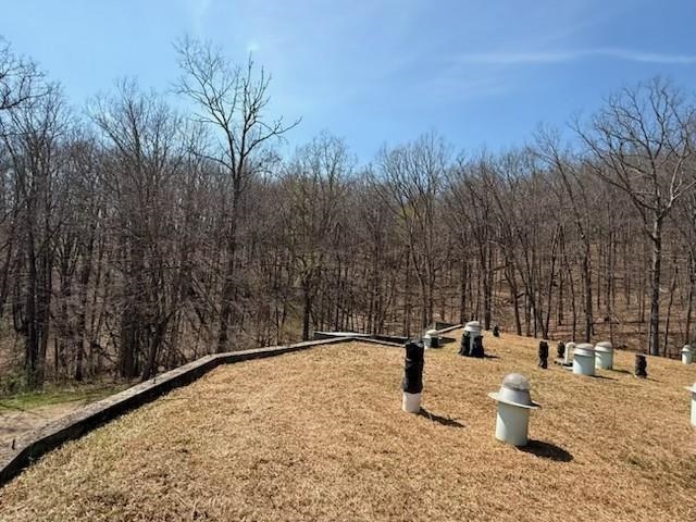12002 Jackson River Road Monterey, VA 24465 - Photo 60 of 65 view of outdoor space with trees