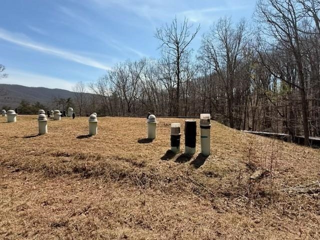 12002 Jackson River Road Monterey, VA 24465 - Photo 62 of 65 Roof