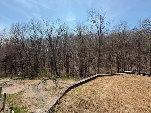12002 Jackson River Road Monterey, VA 24465 - Photo 65 of 65 a view of a backyard