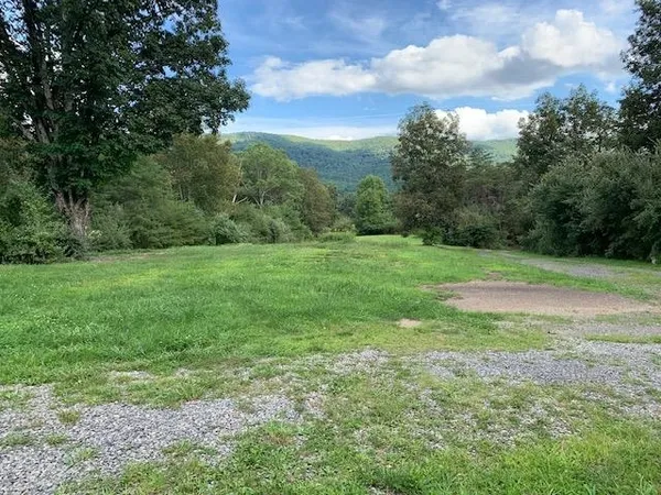 a view of a field with a tree in the background