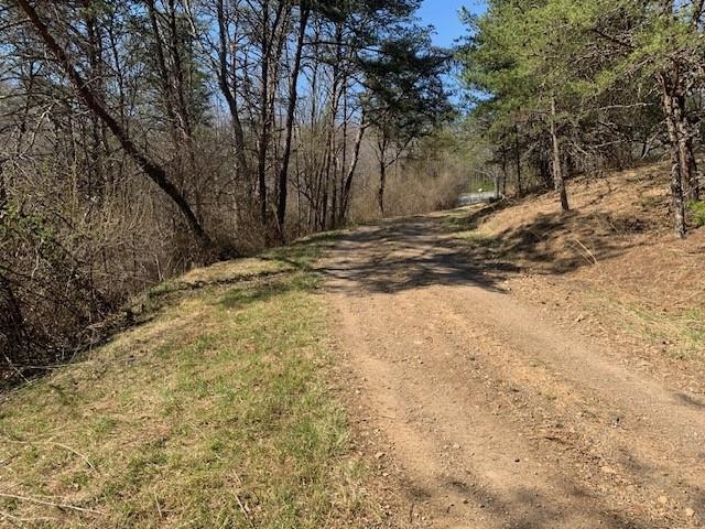 12002 Jackson River Road Monterey, VA 24465 - Photo 8 of 65 a view of a yard with trees