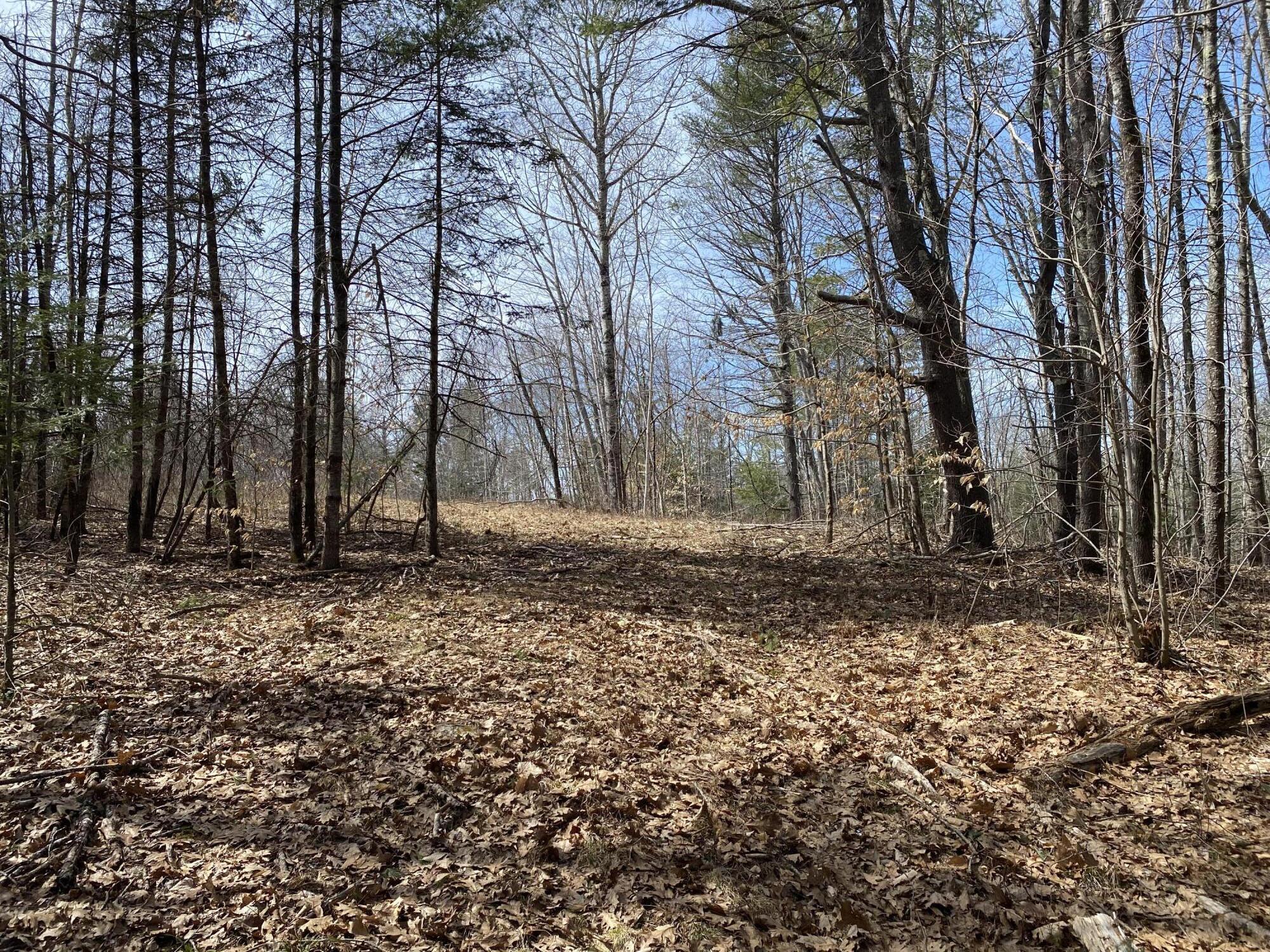 294 Gore Road Palermo, ME 04354 - Photo 10 of 17 IMG_3482