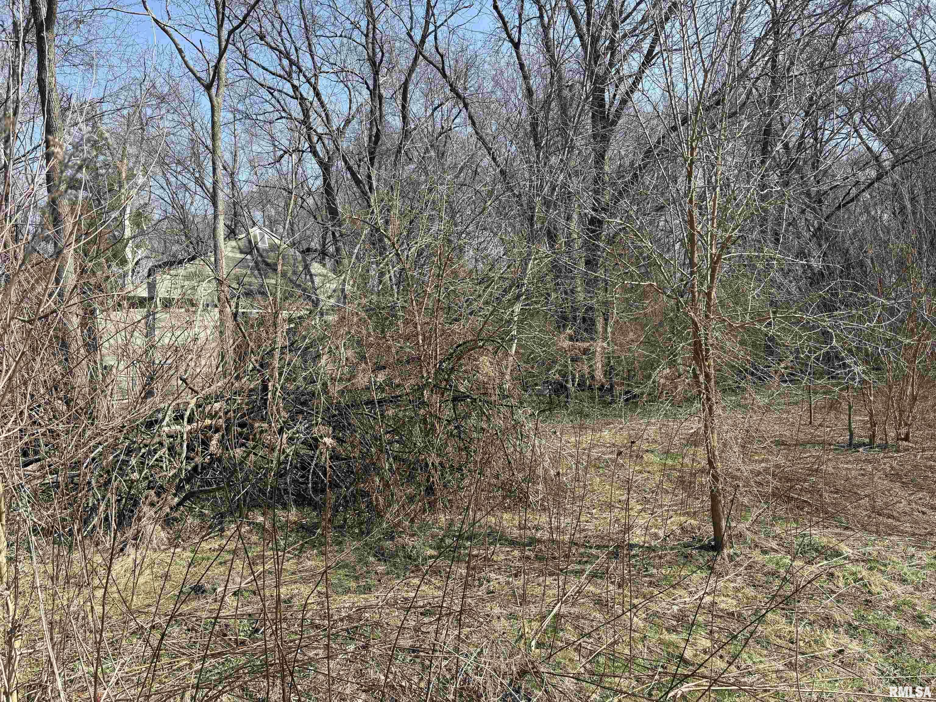 4568 Old Jacksonville Road Springfield, IL 62711 - Photo 2 of 4 Gallery Image 2