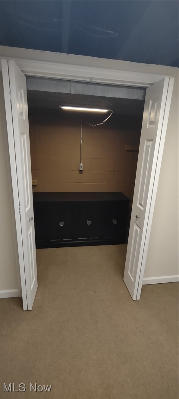 5215 Cline Road Kent, OH 44240 - Photo 22 of 23 Large closet in finished room in basement
