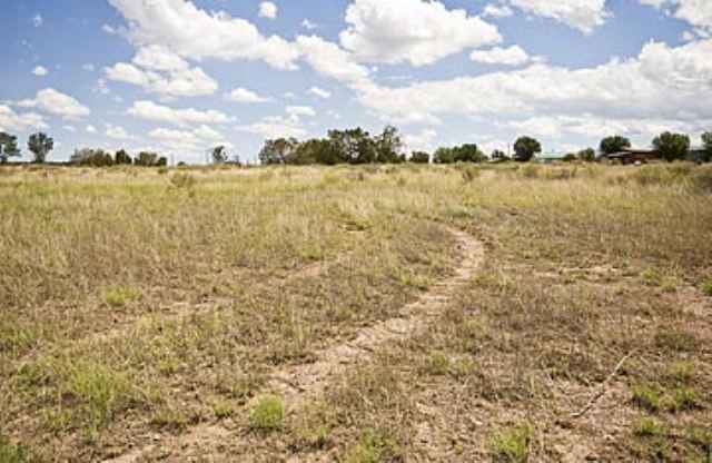 225 North A Street Springerville, AZ 85938 - Photo 3 of 5