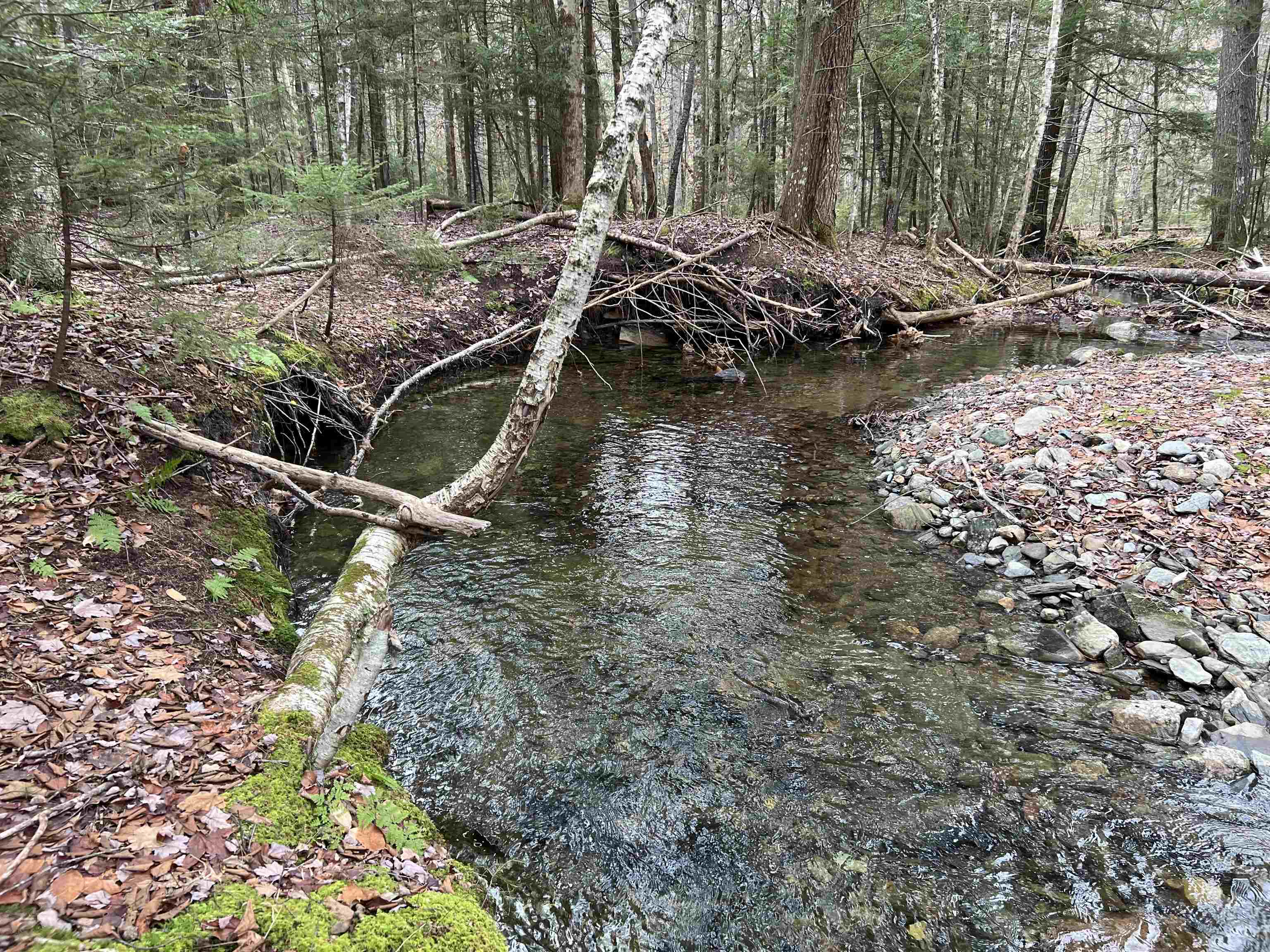 445 Wheeler Road Windham, VT 05359 - Photo 3 of 3