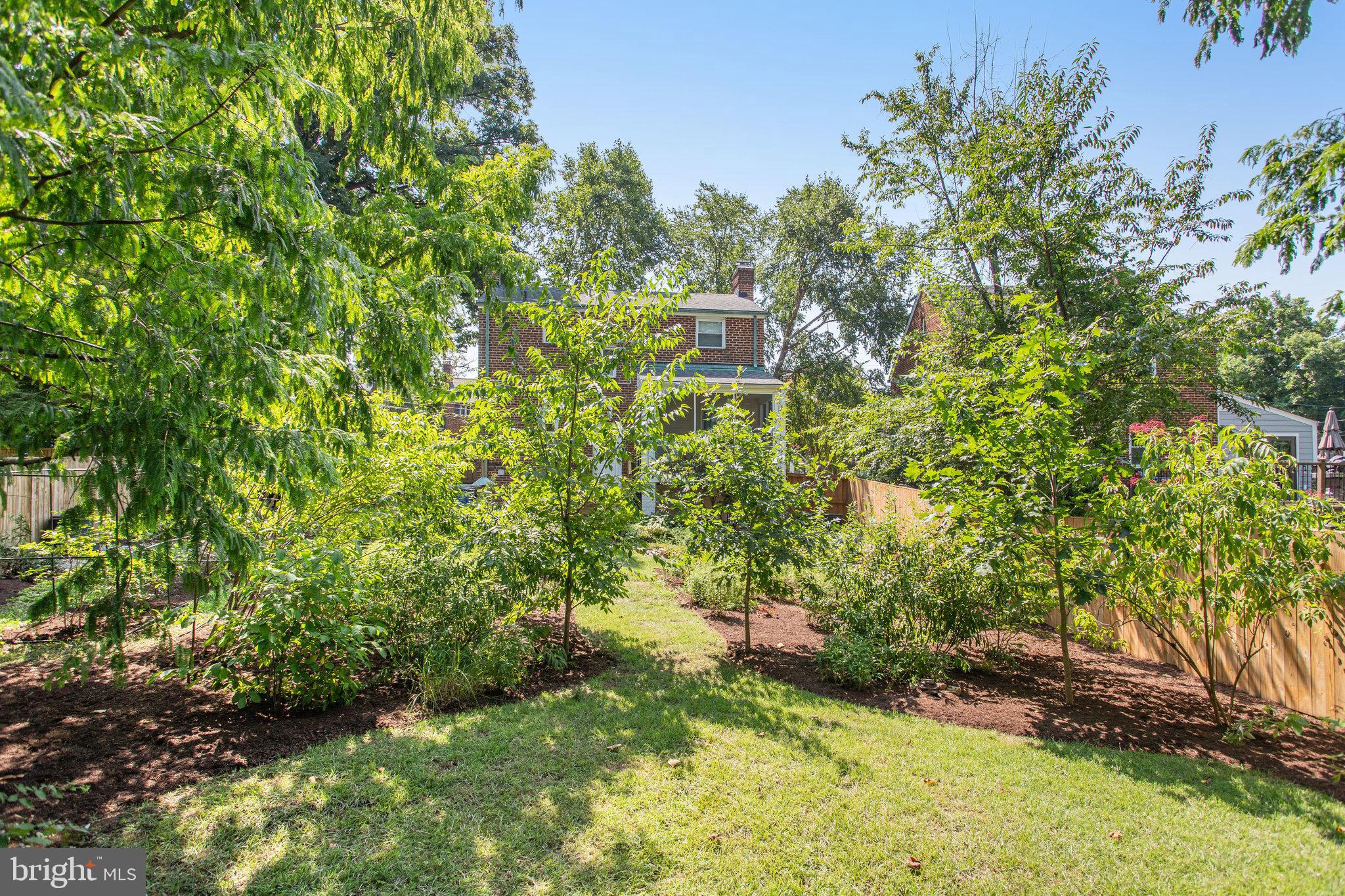 2603 Spencer Road Chevy Chase, MD 20815 - Photo 43 of 49 Backyard