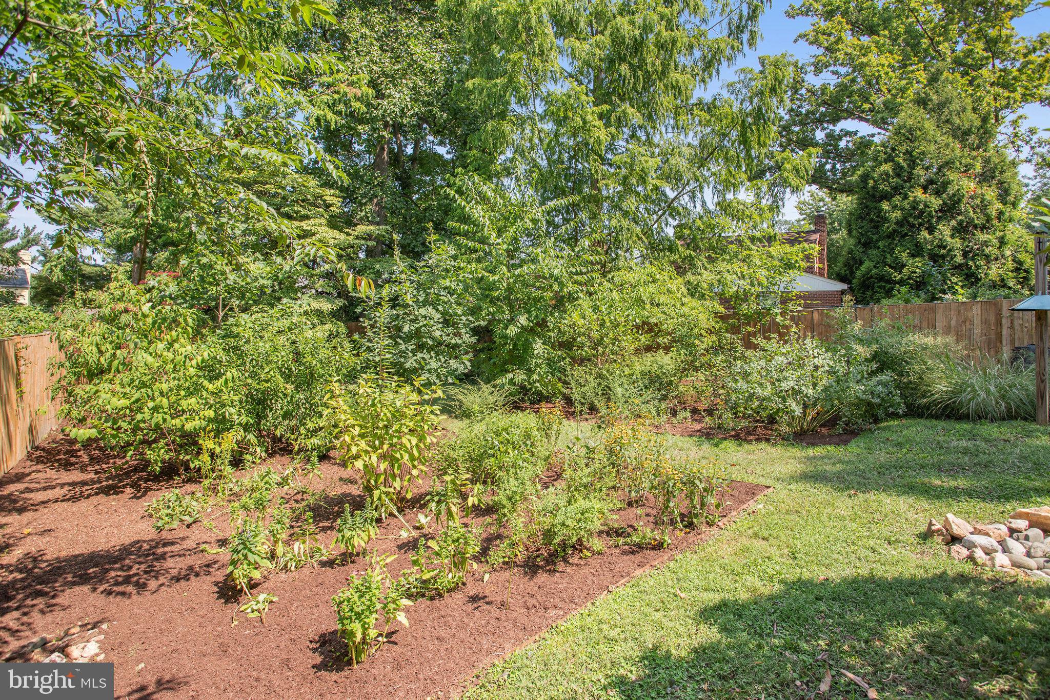 2603 Spencer Road Chevy Chase, MD 20815 - Photo 48 of 49