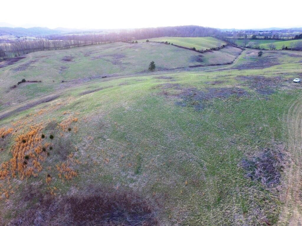 0 Prease Road Buchanan, VA 24066 - Photo 13 of 20 013