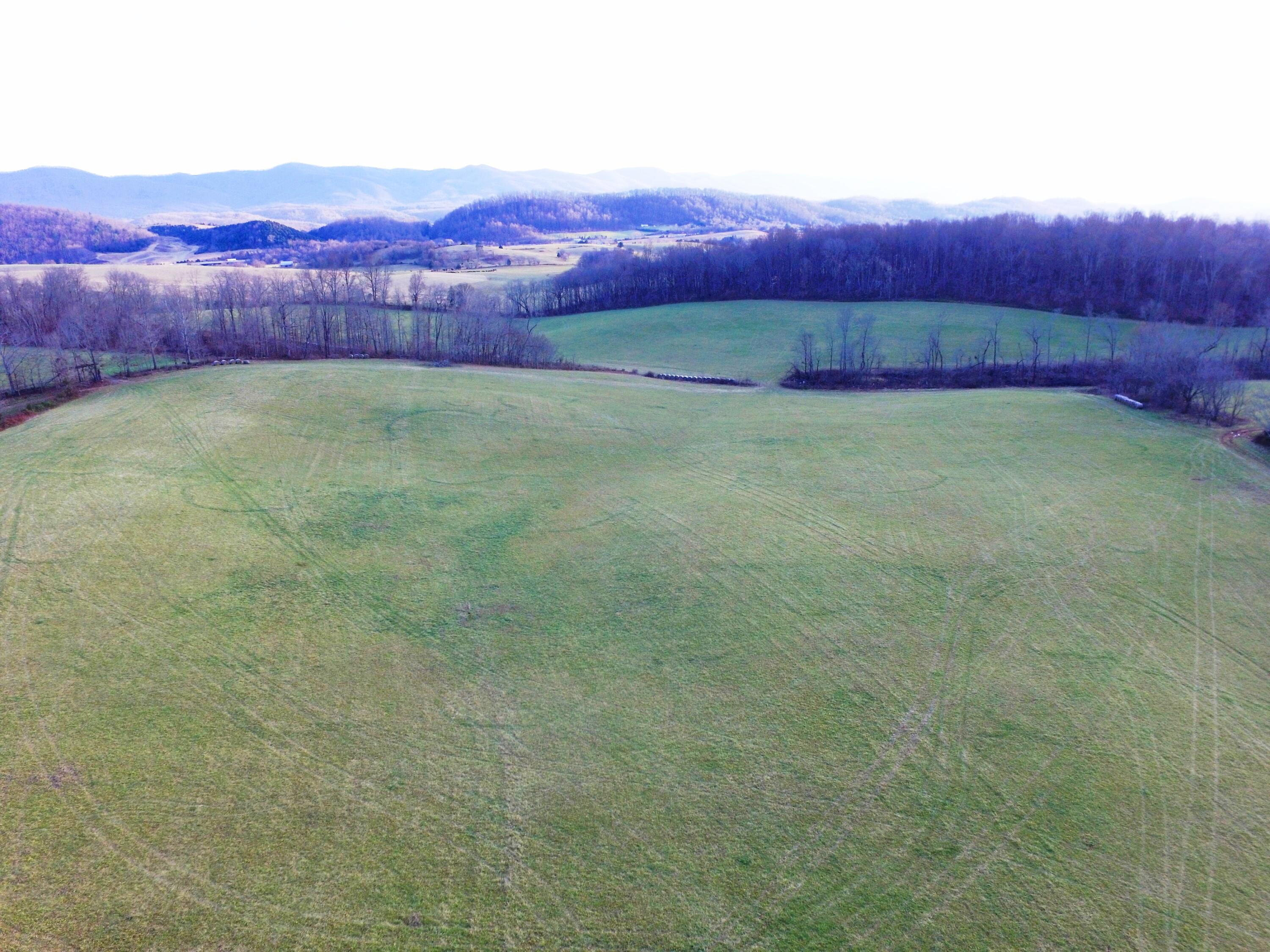 0 Prease Road Buchanan, VA 24066 - Photo 15 of 20 015