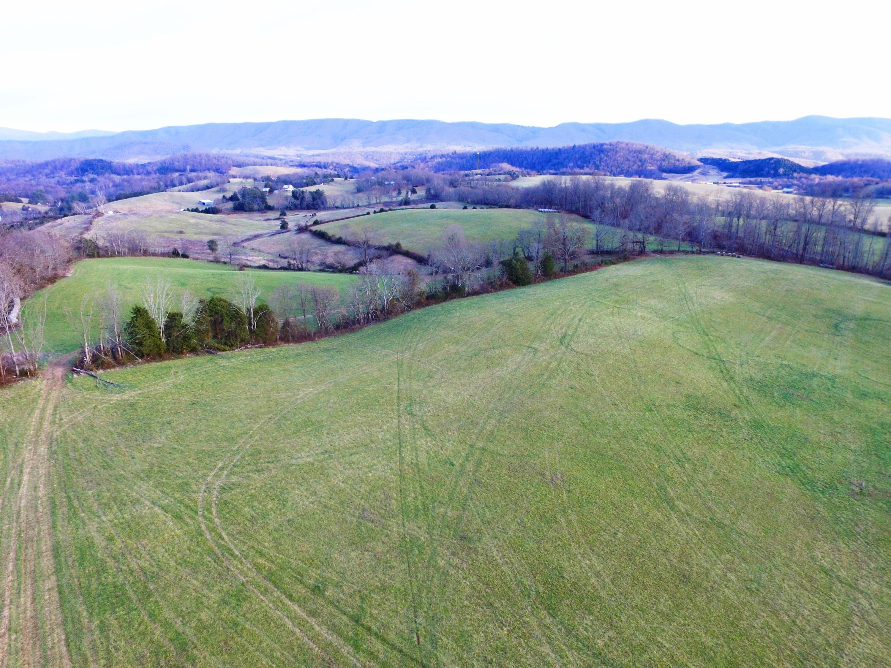0 Prease Road Buchanan, VA 24066 - Photo 16 of 20 016