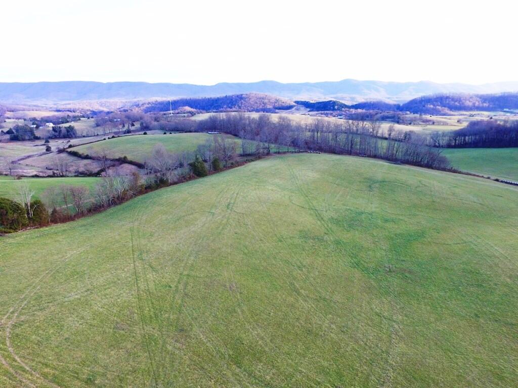 0 Prease Road Buchanan, VA 24066 - Photo 2 of 20 02