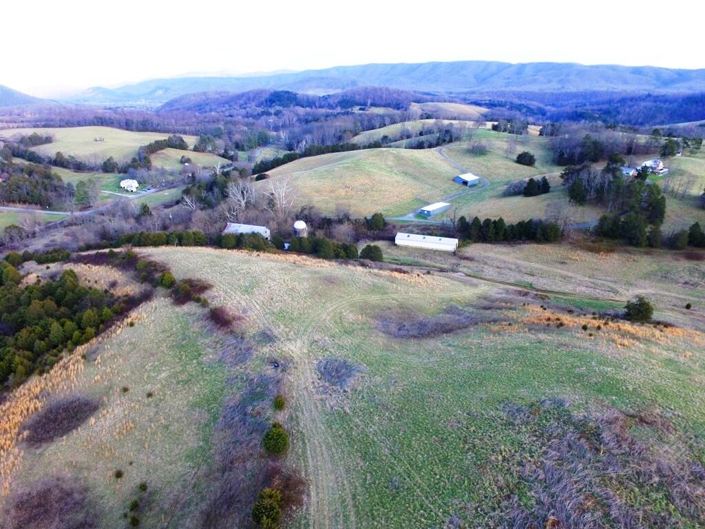 0 Prease Road Buchanan, VA 24066 - Photo 3 of 20 03