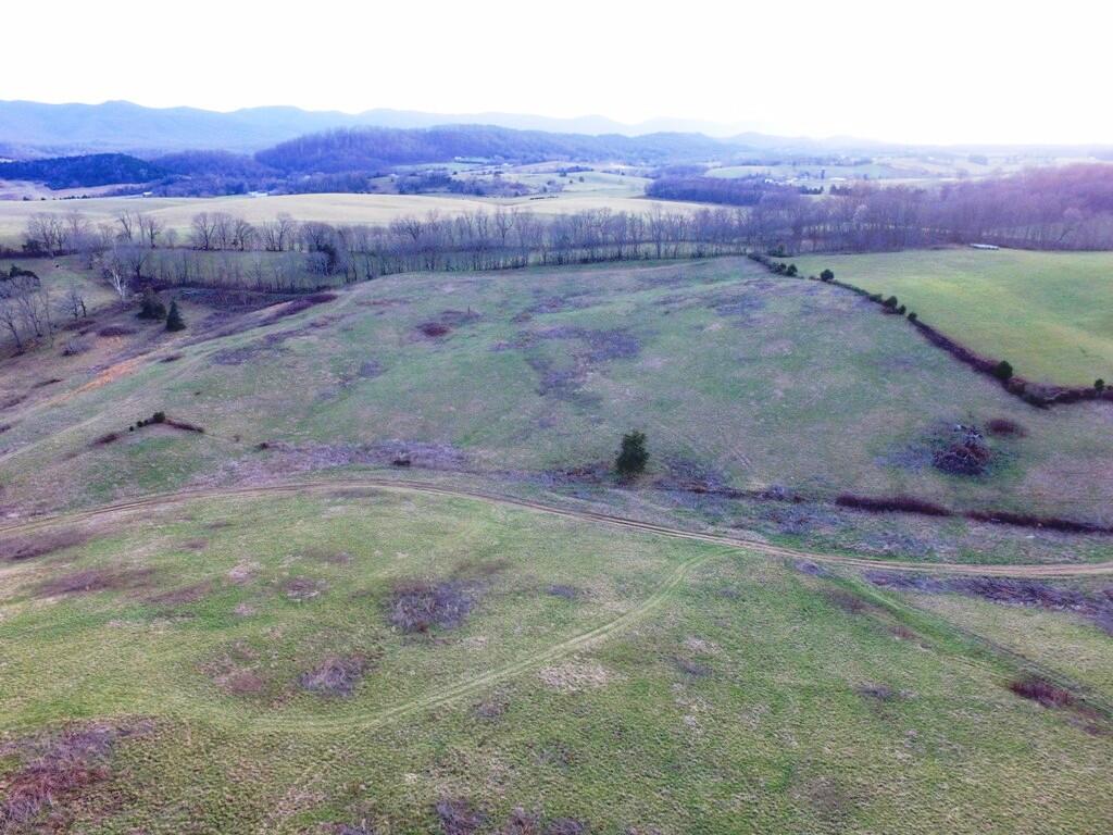 0 Prease Road Buchanan, VA 24066 - Photo 6 of 20 06